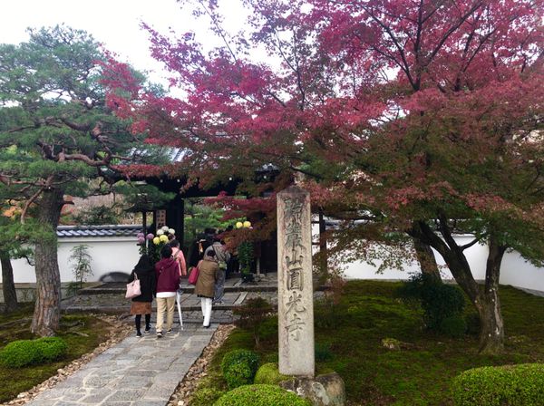 日本・京都府「京都紅葉の旅・2018」の写真：圓光寺