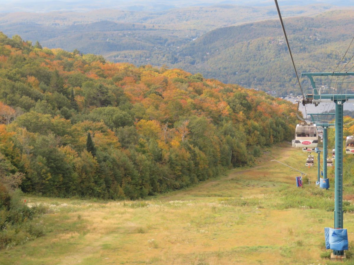 モントリオール郊外にあるローレンシャン高原で紅葉狩り。山全体が色づいて、ち...