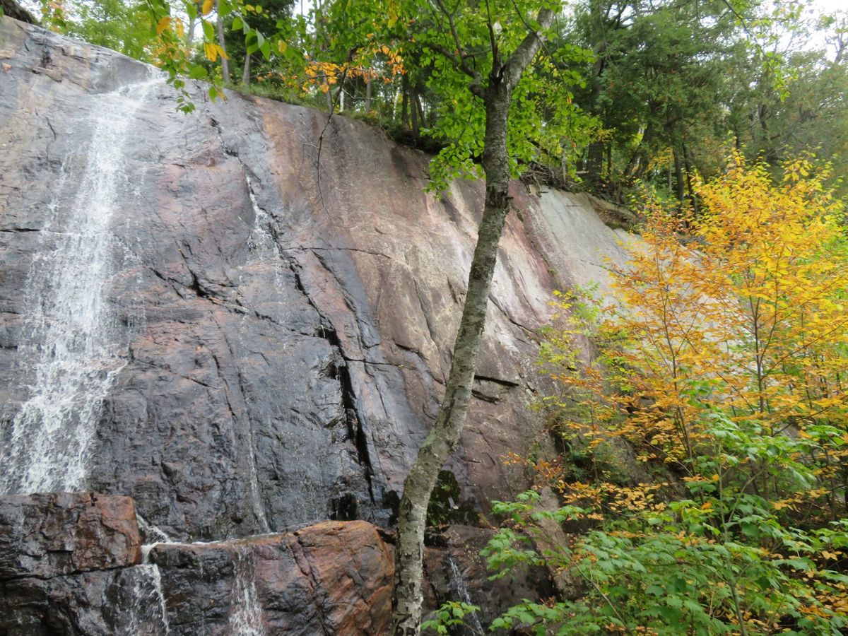モントリオール郊外にあるローレンシャン高原で紅葉狩り。山全体が色づいて、ち...