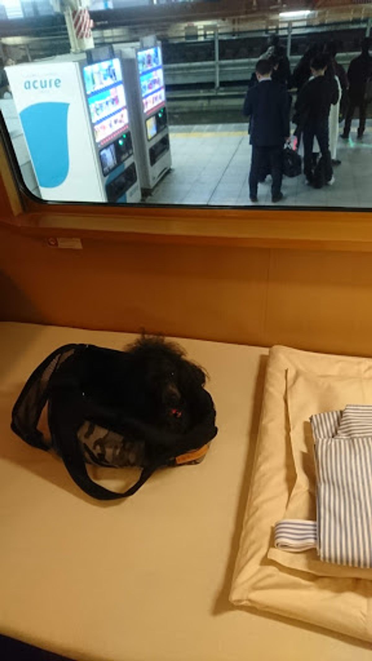 憧れていたサンライズ出雲。わんこもケージかバックインで一緒に乗り込めます。...