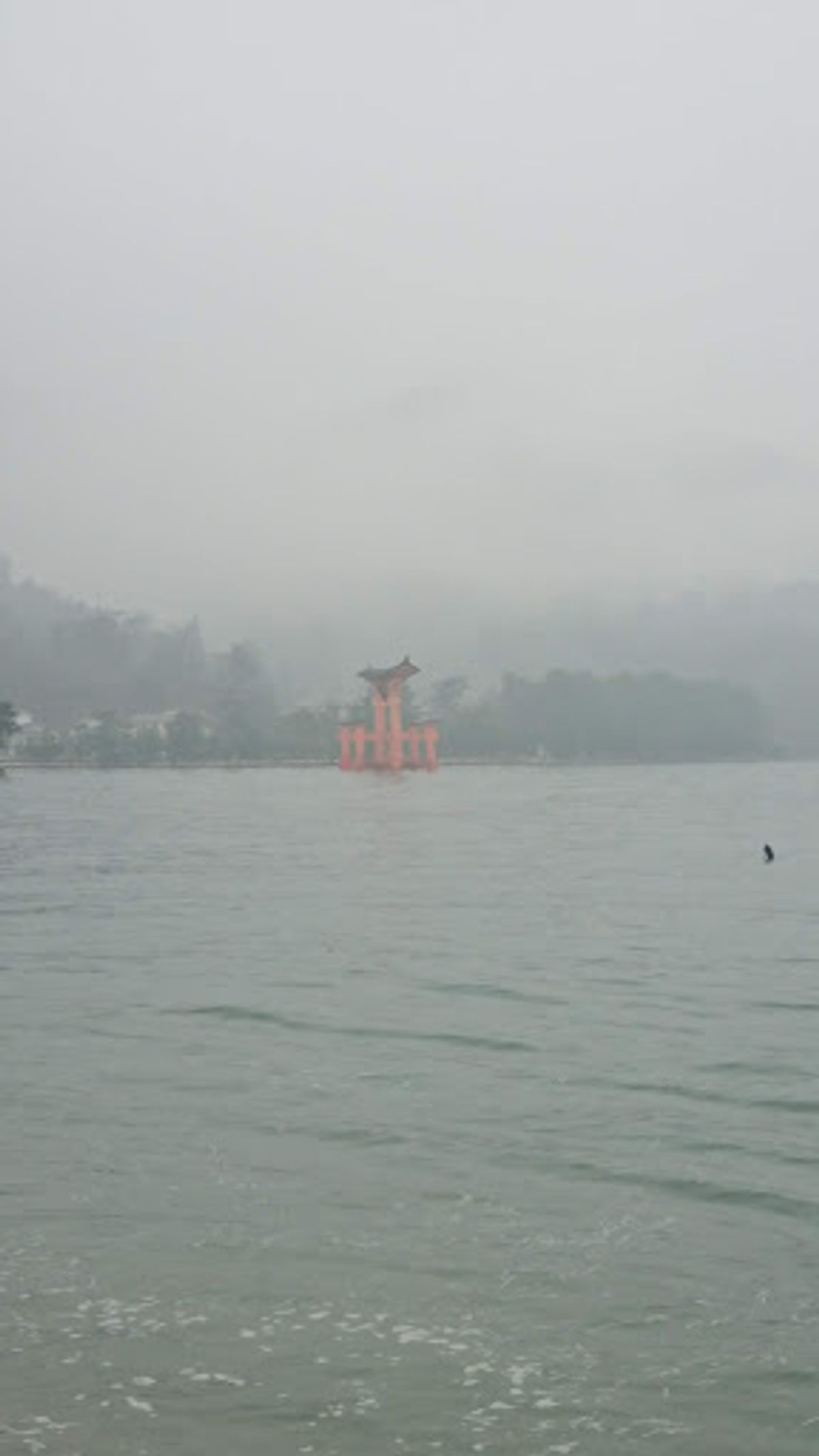 広島から電車に乗り換え廿日市市。そしてフェリーで念願の厳島神社！
雨、そし...