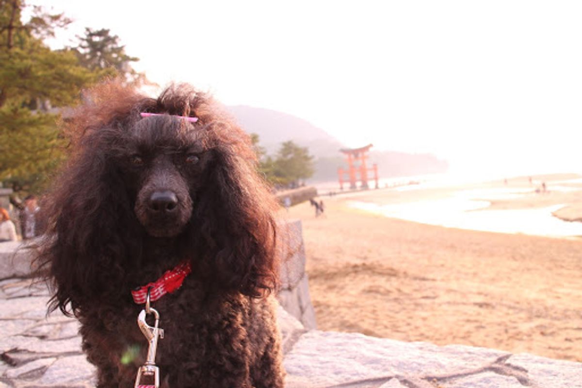 あれだけ満ちていた潮が劇的に引いた景色は感動！