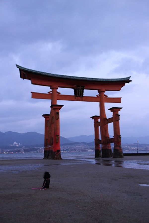 日本・広島「広島 宮島、尾道、しまなみ海道旅行」の写真：島内宿泊だったので朝散歩はもちろん神社の...