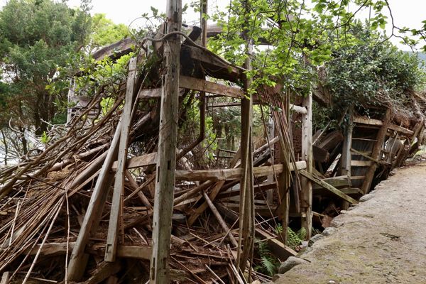 日本・奈留島「五島列島」の写真