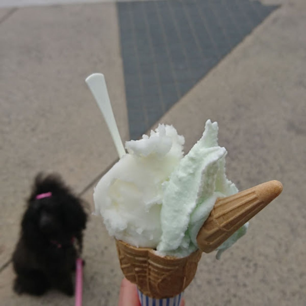 最終日はしまなみ海道の生口島。自転車ではなくフェリーで上陸。

大理石の庭...