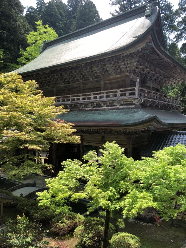 日本・福井県「加賀温泉・金沢・福井の旅」の写真：初日は永平寺と東尋坊。東尋坊はやっぱり迫...