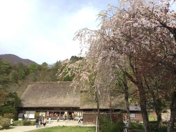 日本・白川郷「飛騨高山と白川郷」の写真：初日は飛騨合掌村を観光。大渋滞でようやく...