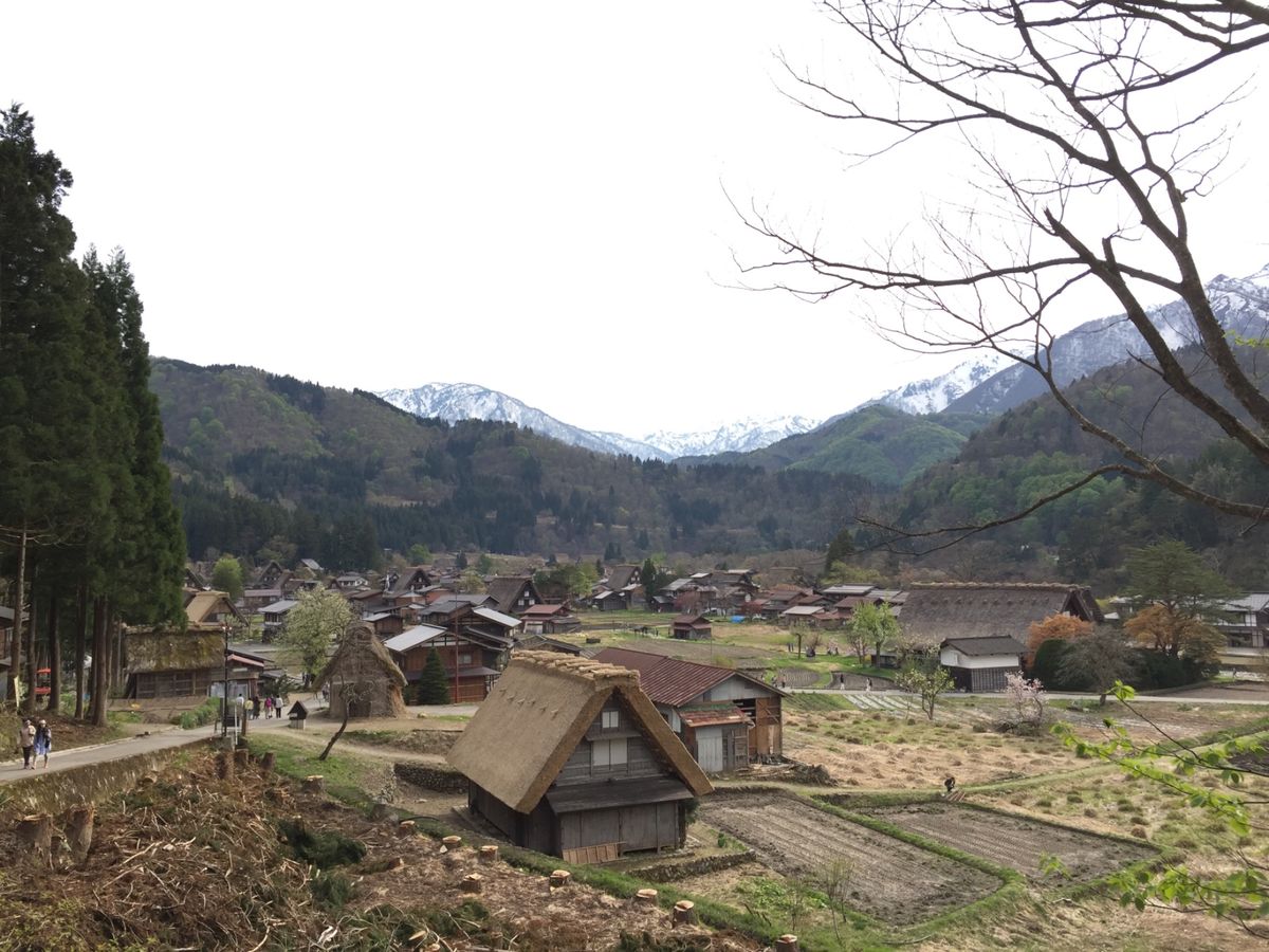初日は飛騨合掌村を観光。大渋滞でようやくついたのは夕方でした。