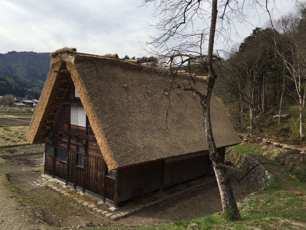 初日は飛騨合掌村を観光。大渋滞でようやくついたのは夕方でした。