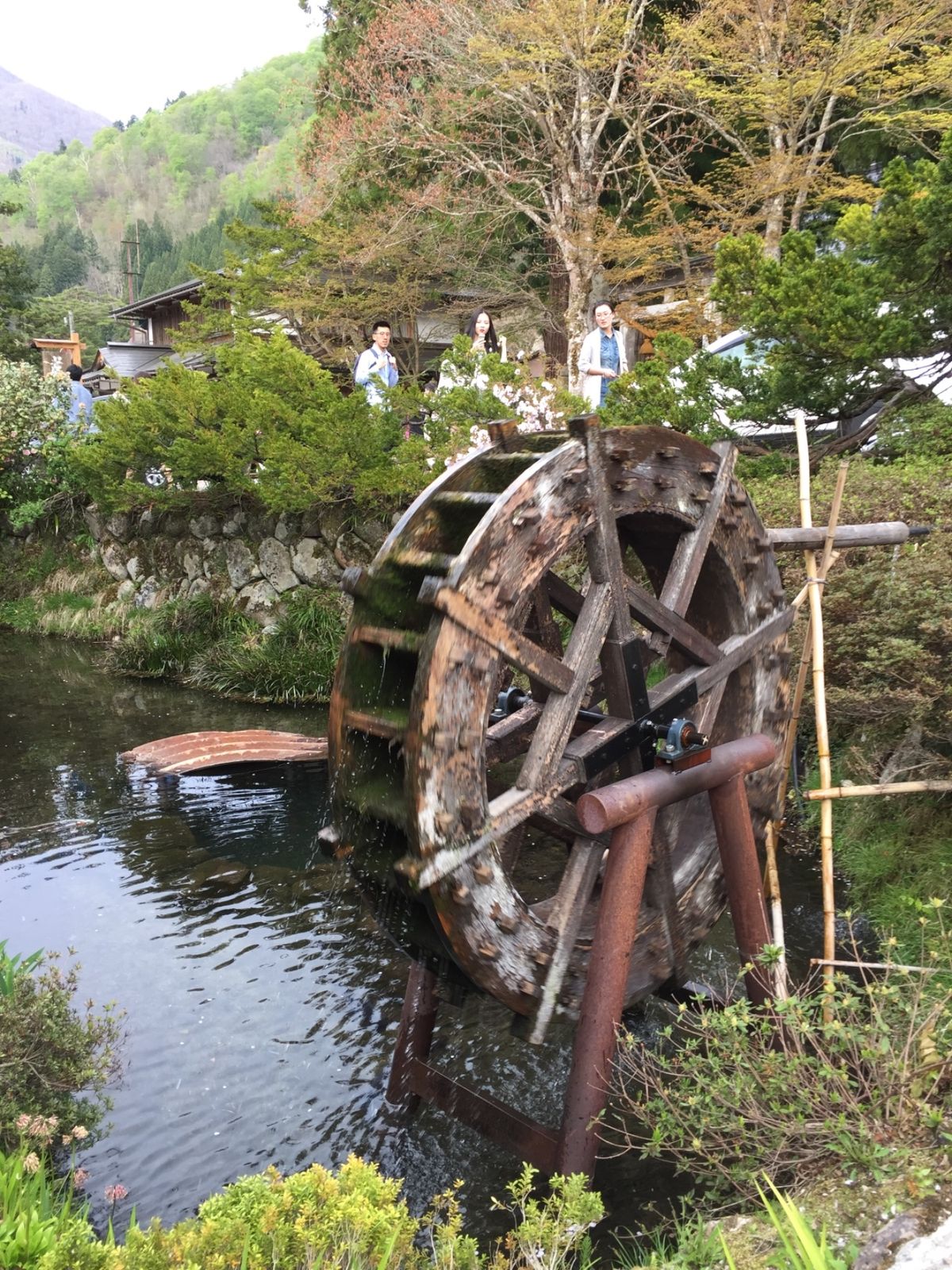 初日は飛騨合掌村を観光。大渋滞でようやくついたのは夕方でした。