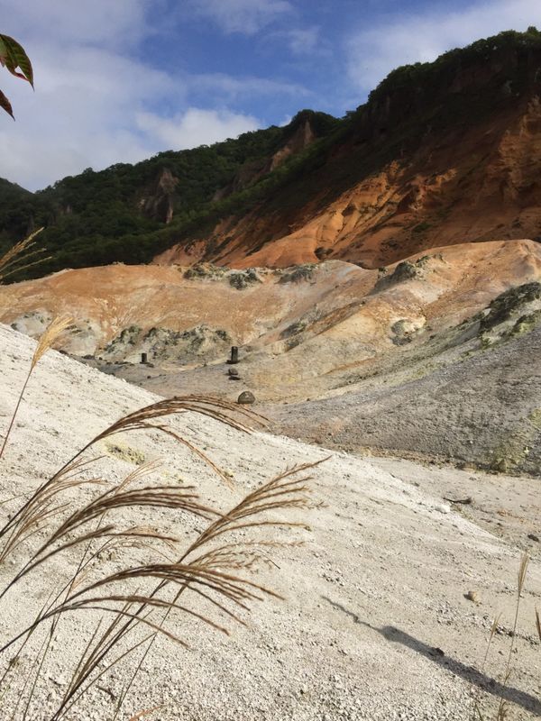 日本・北海道「北海道・洞爺湖温泉・小樽の旅」の写真：登別温泉クマ牧場と洞爺湖