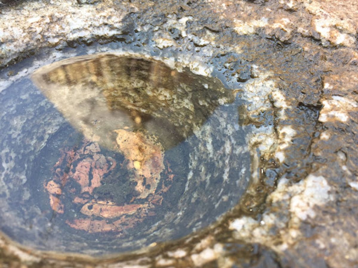 次にやってきたのはシュエジゴン・パゴダ

ミャンマーにはパゴダが沢山あ...