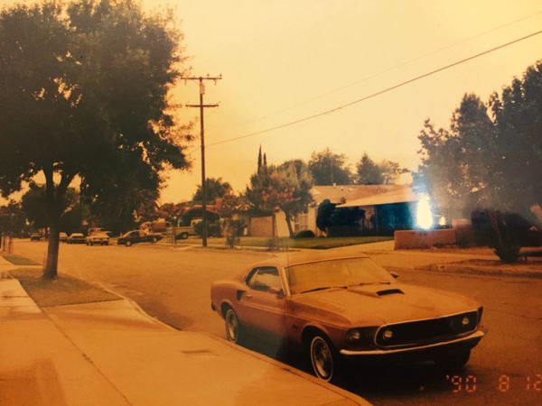 アメリカ(米国)・LAX「1か月ホームスティ　INロサンゼルス」の写真：ある日ホームステイ先の庭から撮った本当に...