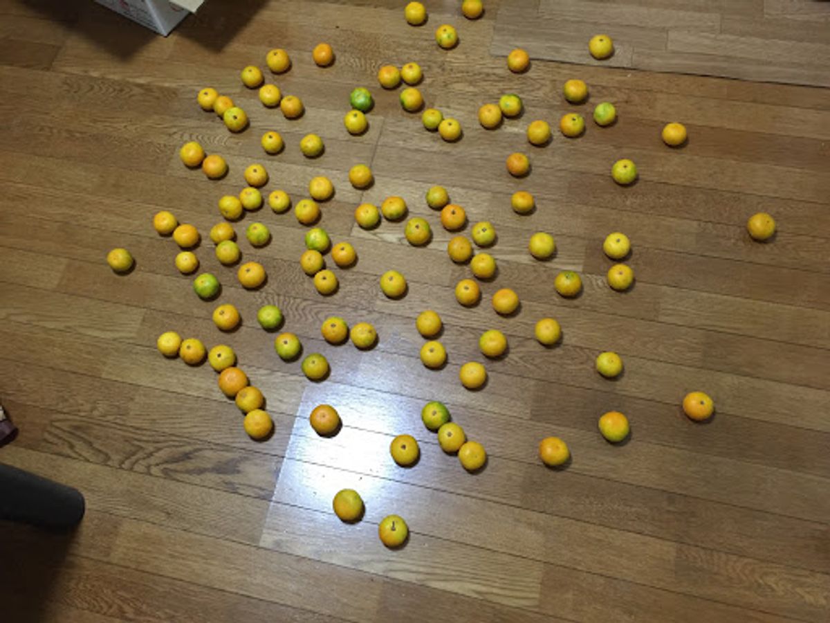 一人で海外に行く。
一度も行ったことも無いし、何があるかほぼ知らないベト...