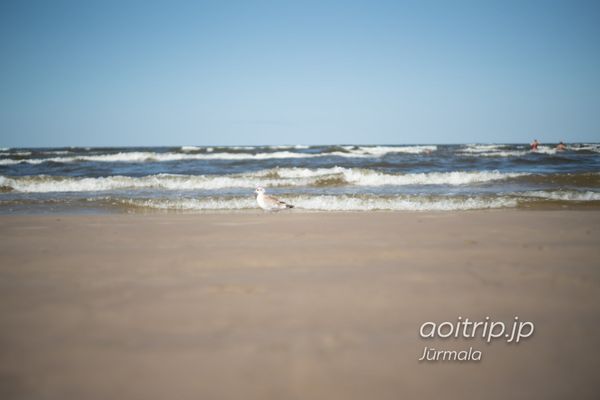 ラトビア・リガ「リガ、ユールマラ」の写真：リガから電車で30分、ラトビアの保養地ユ...