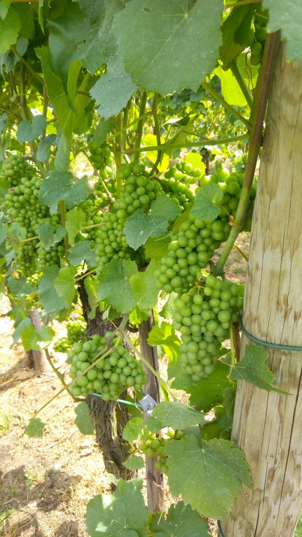 ドイツ・デュッセルドルフ「Happy Birthdayな旅」の写真