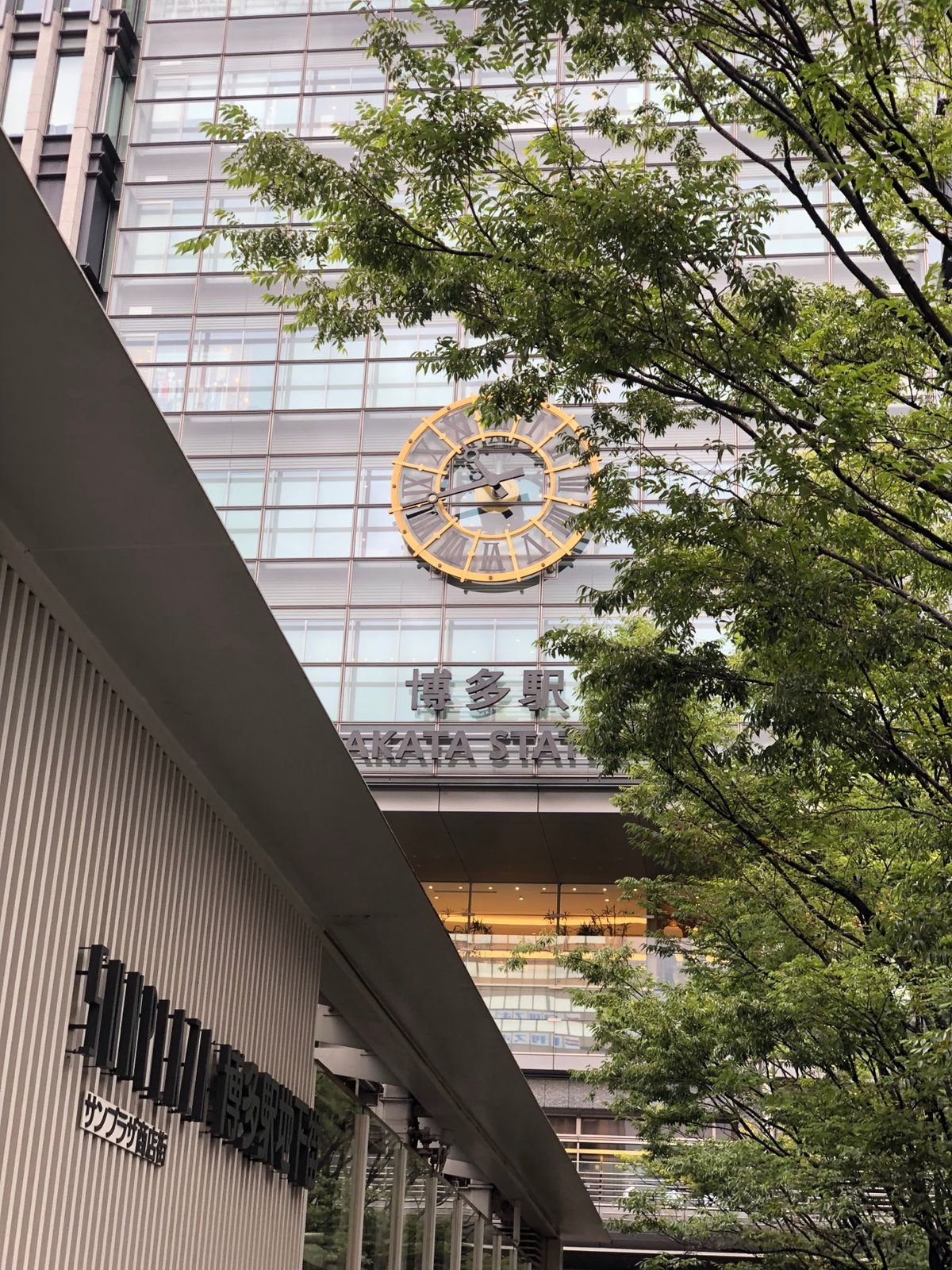 福岡に来た。駅ビルでかすぎる。
東京にこんなでかいビルはないんじゃないか説