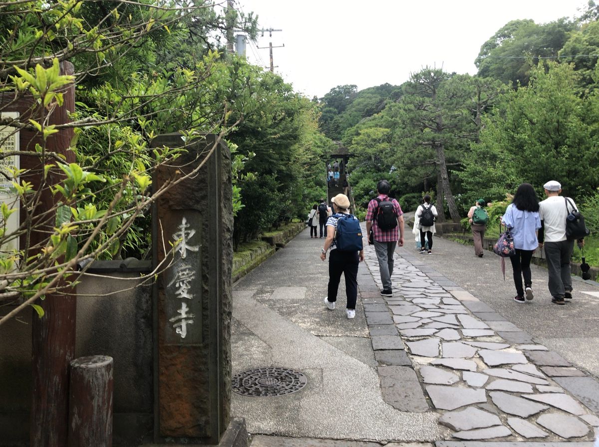 鎌倉紫陽花ハイキング。北鎌倉駅を起点に先ずは花の寺、東慶寺へ。紫陽花だけで...