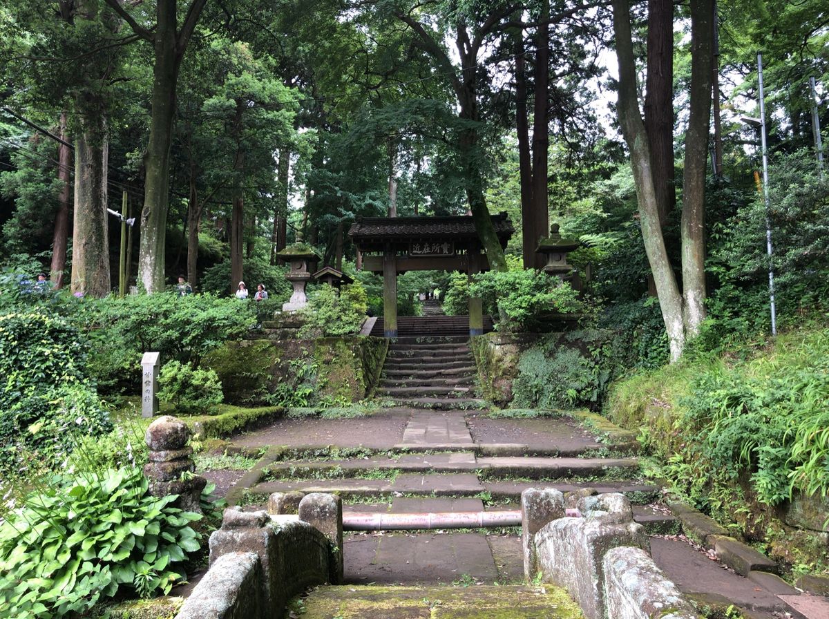 東慶寺の次は浄智寺へ。こちらは門前の紫陽花が美しい。ホタルブクロも咲いてい...