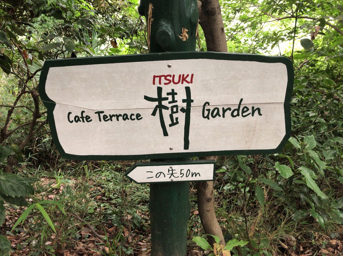 ハイキングコース途中にある「樹ガーデン」。森の中にあるお洒落なカフェで一休み。