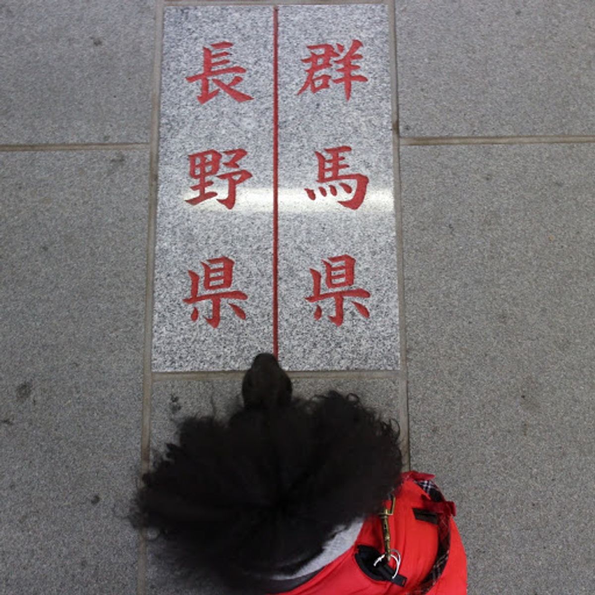 熊野神社、霧が出てたので展望台からの眺めは真っ白(笑)そして気軽に考えてい...