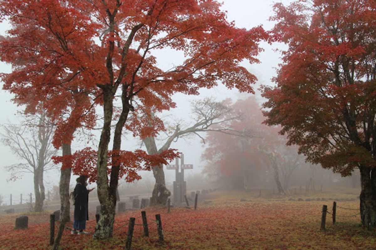 熊野神社、霧が出てたので展望台からの眺めは真っ白(笑)そして気軽に考えてい...