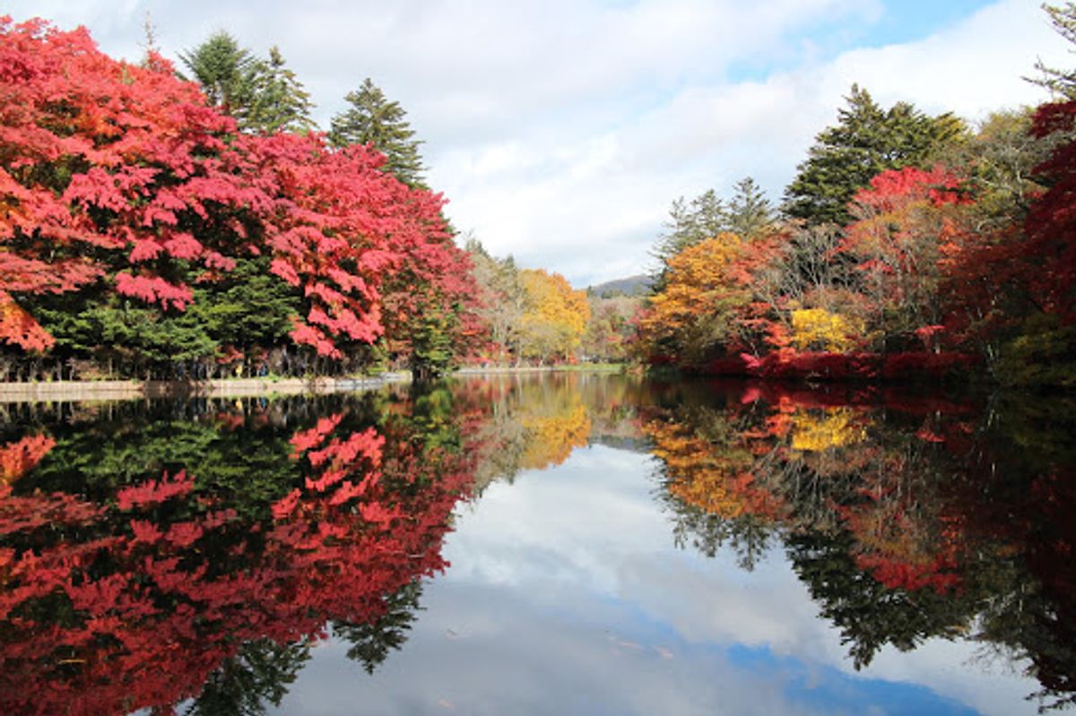 雲場池の紅葉。１日目は曇り空だったけど、2日目は青空。やっぱり水面に移るの...