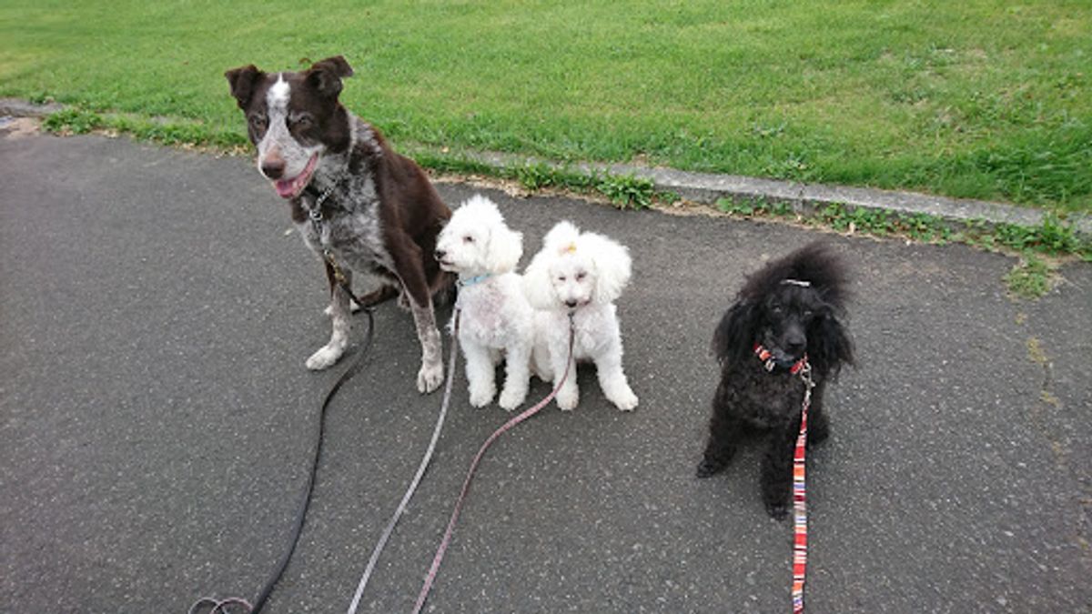札幌市内の知り合いに色々助けられ地震当日、翌日を無事に過ごすことができ感謝...