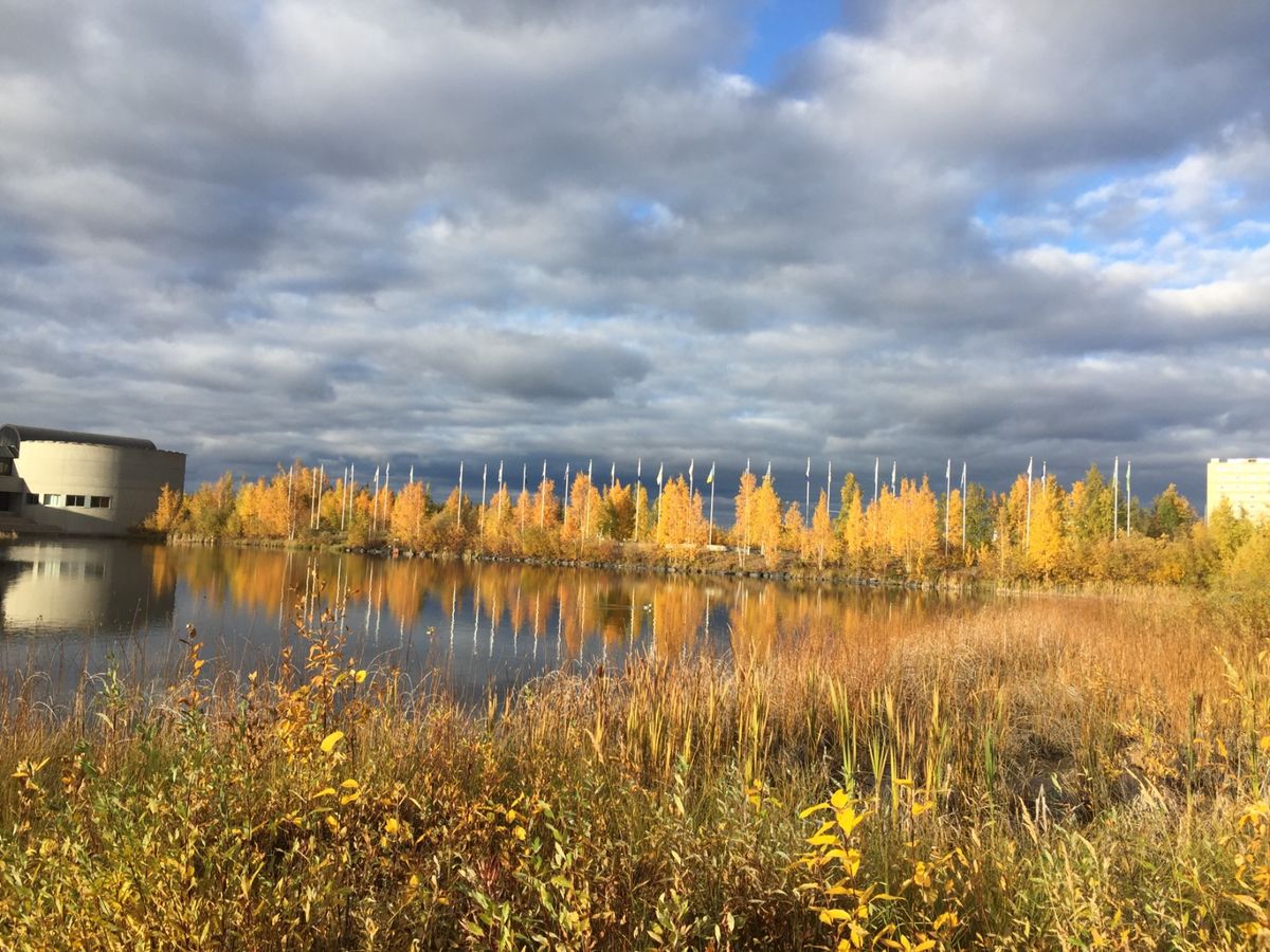 イエローナイフのオーロラとナイアガラの滝