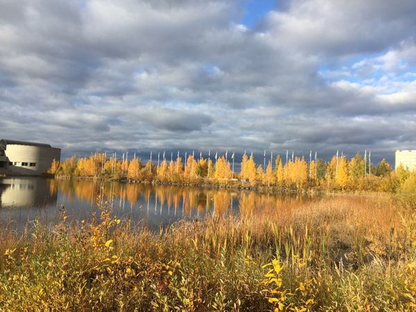 カナダ「カナダ 西→東」の写真：イエローナイフのオーロラとナイアガラの滝