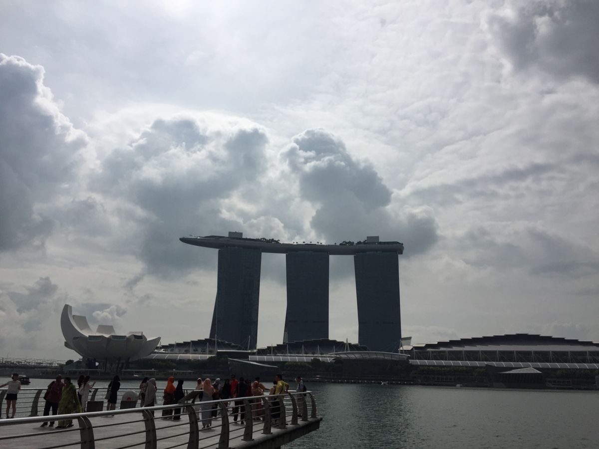 思い出して笑える…改装中マーライオン！