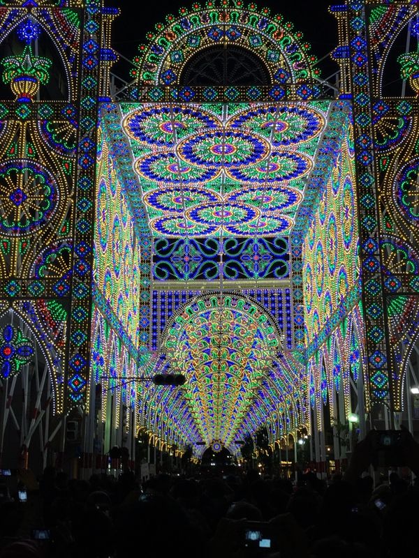 日本・京都府「京都紅葉と神戸ルミナリエ」の写真：神戸の震災からの復興を願い始まった神戸ル...