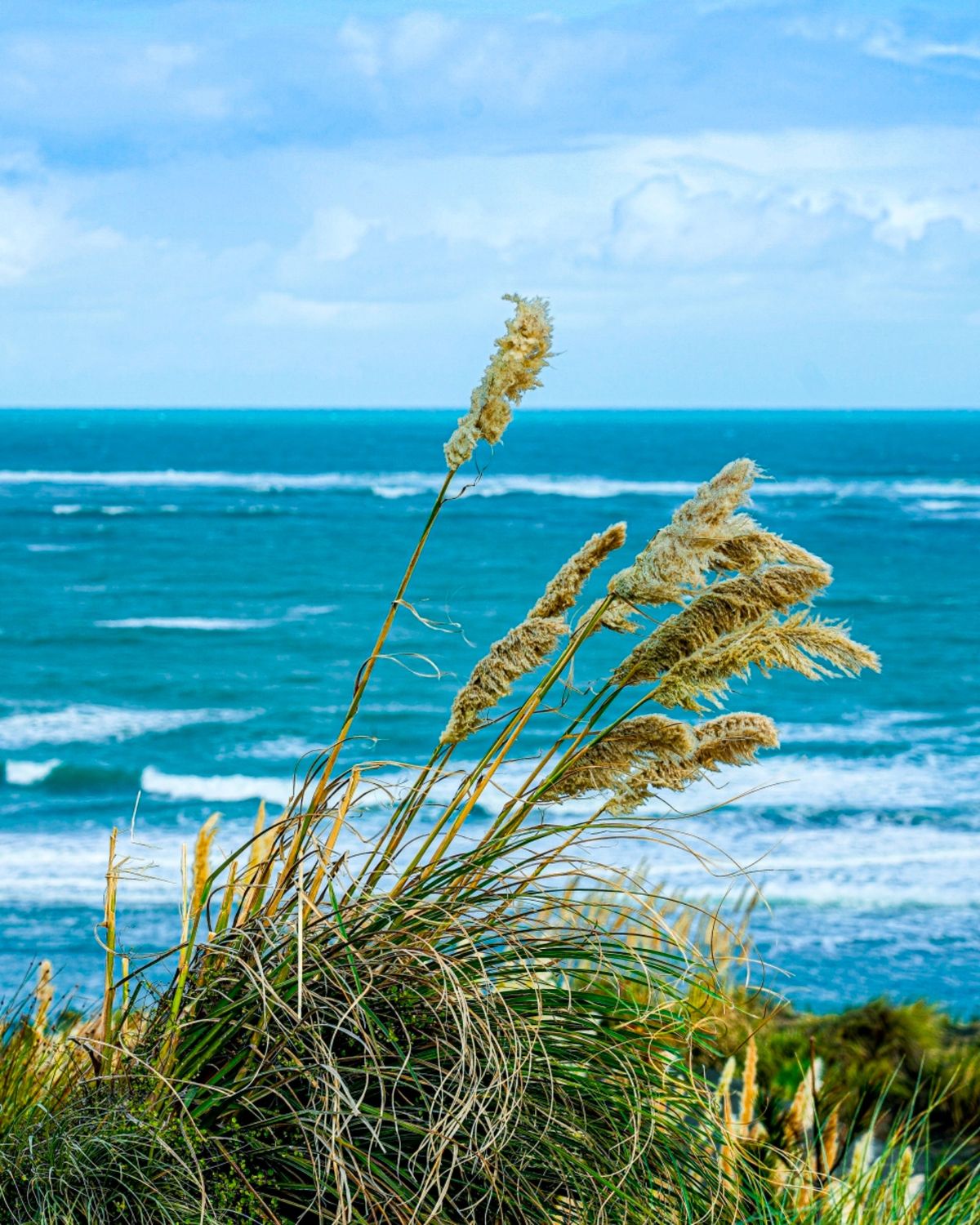 砂の丘の上は、強い風が吹いていた。

カフィアの町から出ると、すぐに林に囲...