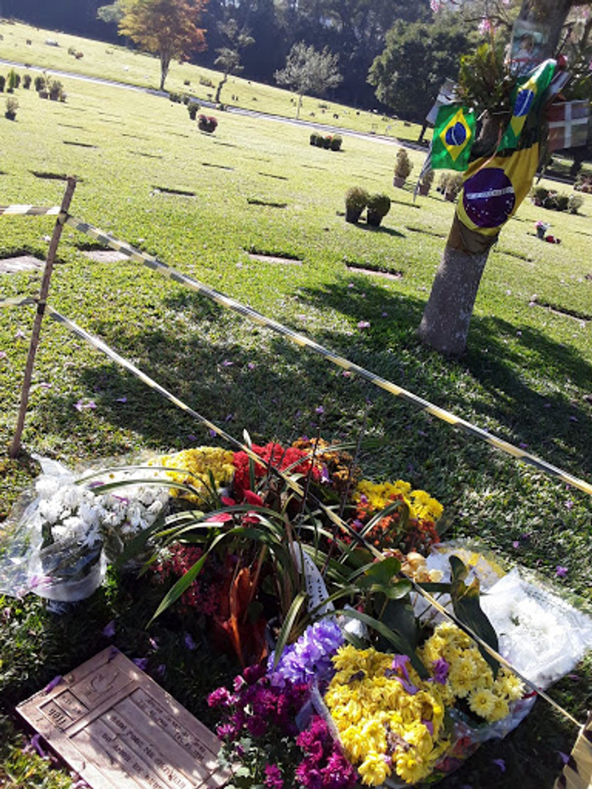 僕がサッカーをはじめたきっかけはJリーグの開幕とアニメ版キャプテン翼。アニ...