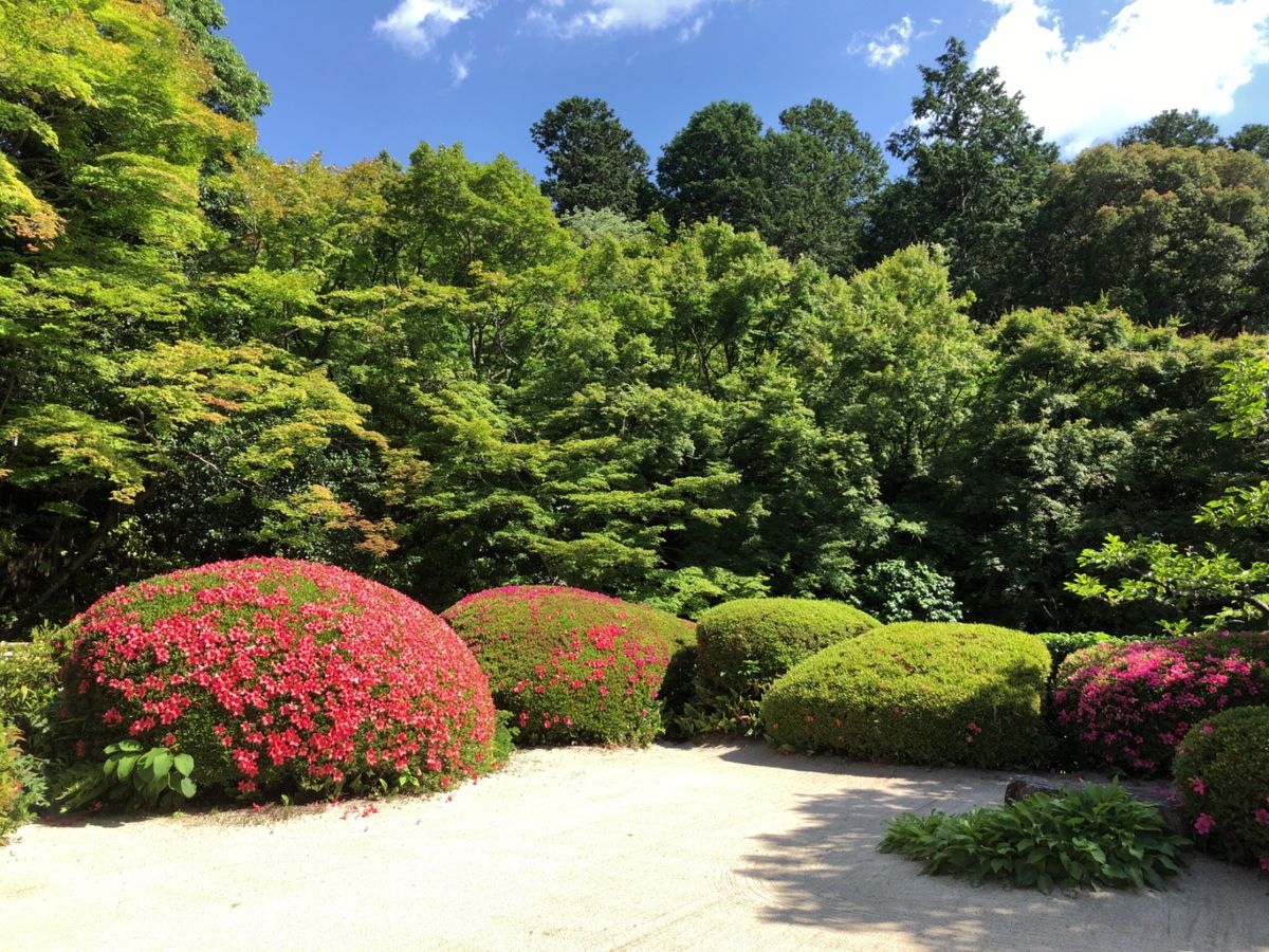 下鴨神社の次は一乗寺方面へ。先ずは詩仙堂へと向かった。ここはもちろん紅葉の...