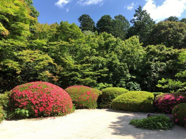 日本・京都府「京都・青紅葉」の写真：下鴨神社の次は一乗寺方面へ。先ずは詩仙堂...
