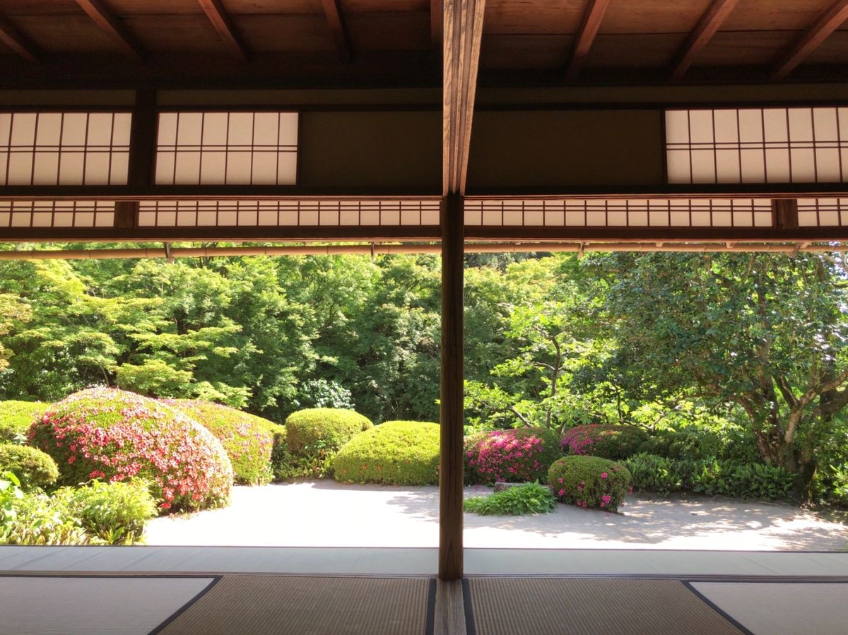 下鴨神社の次は一乗寺方面へ。先ずは詩仙堂へと向かった。ここはもちろん紅葉の...