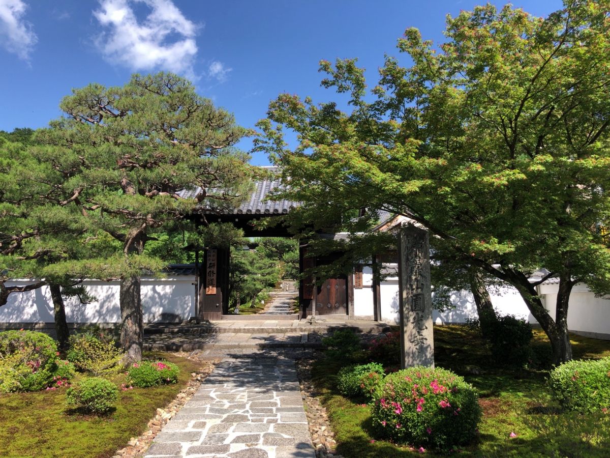 詩仙堂からは圓光寺へ。枯山水の庭も良い。