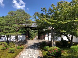 詩仙堂からは圓光寺へ。枯山水の庭も良い。