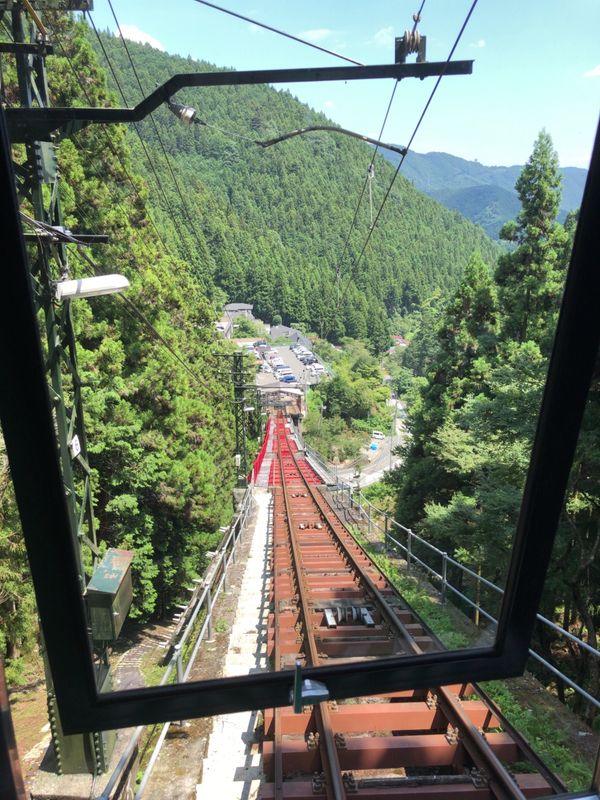 日本・東京都「御岳山レンゲショウマ・2018」の写真：いつものことながら、横着してケーブルカー...