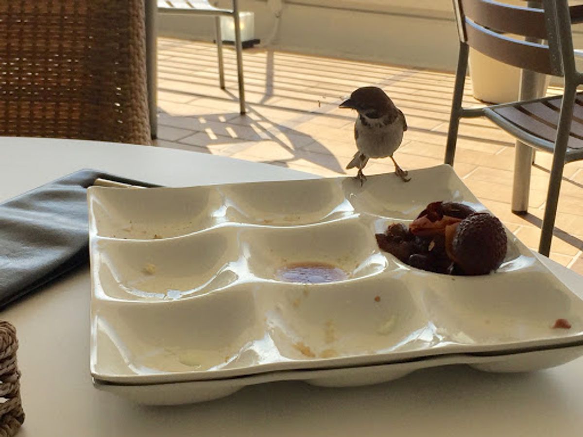 ホテルの朝ごはんビュッフェ