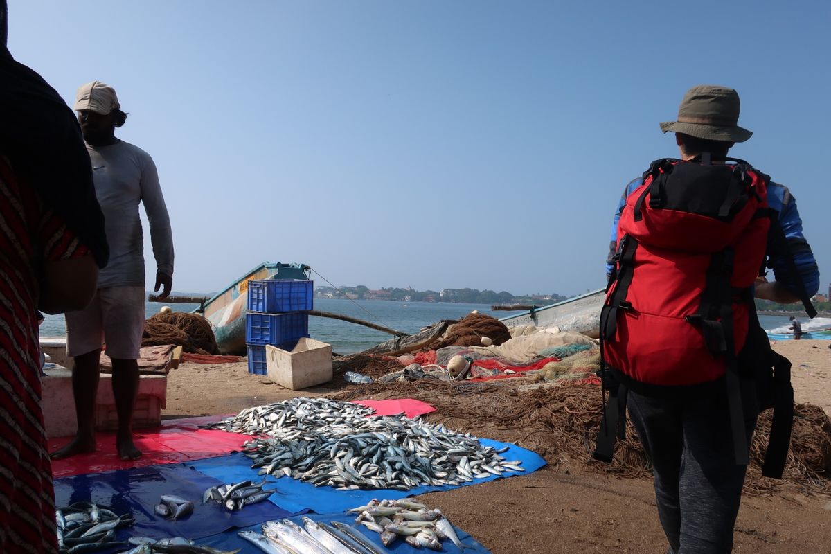 ゴールはCoconut Sambolで夕食、Pedlar’s Inn Ge...