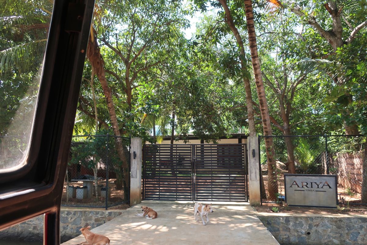 大晦日の夜はHot Spotでカレー。
ティッサの宿、AriyaTissa...