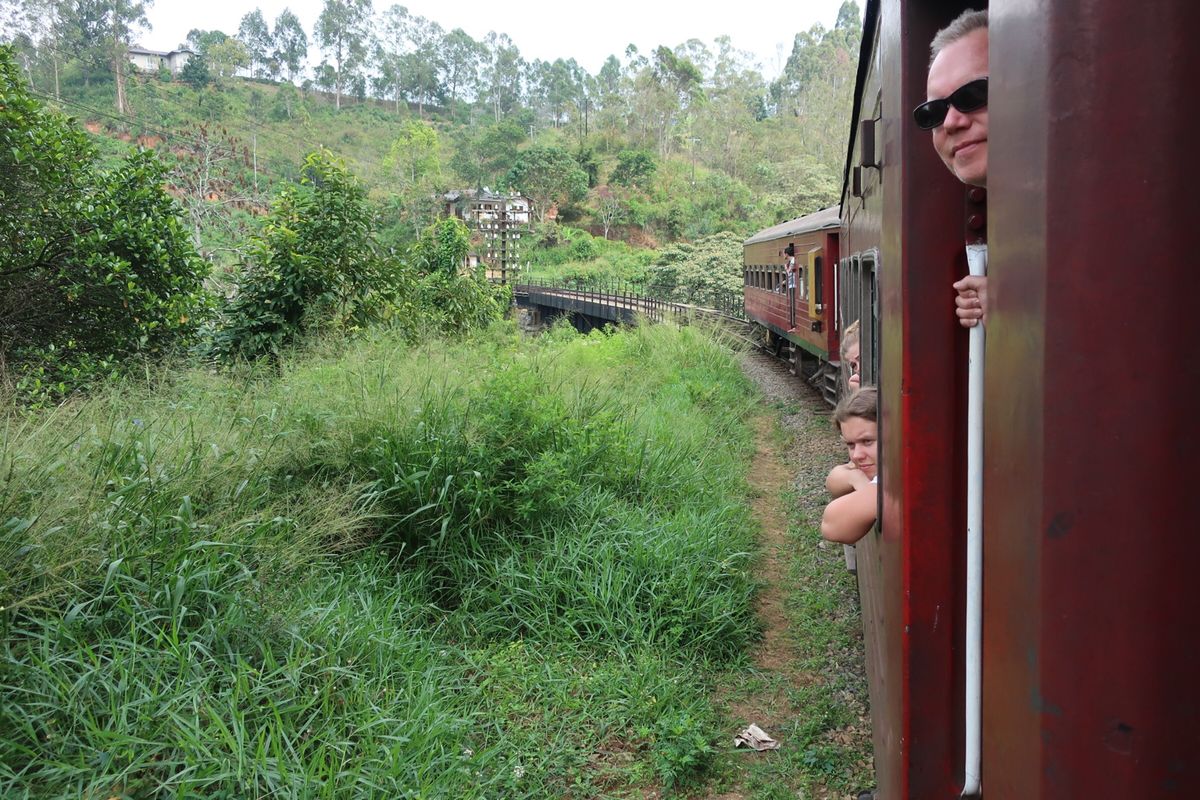エッラからキャンディへの電車の旅②
ドアも窓も全開の列車は時速30kmほ...