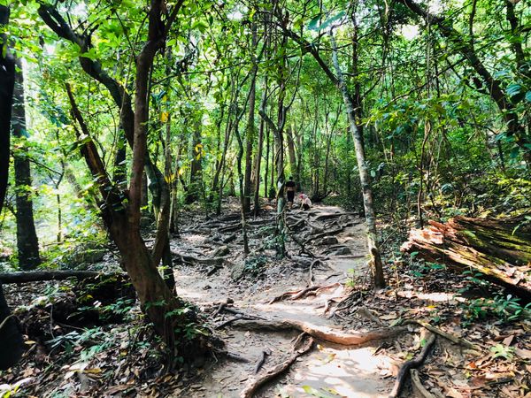 タイ・カンチャナブリ「タイ・カンチャナブリ」の写真：エラワンの滝はお気に入りスポット！