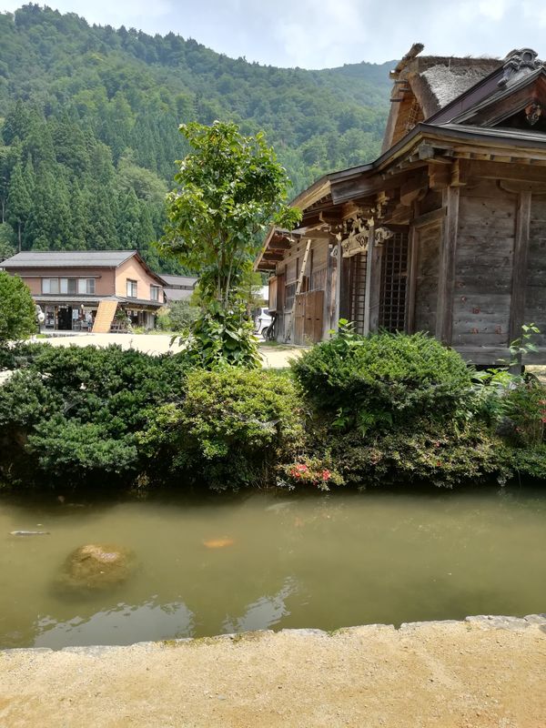 「白川郷探索」の写真