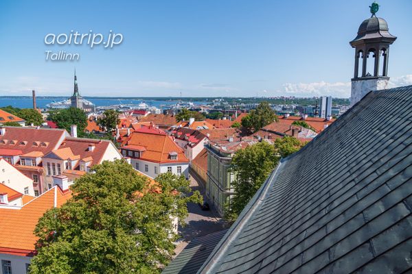 エストニア・タリン「タリン」の写真：エストニア タリン 聖母マリア大聖堂（S...