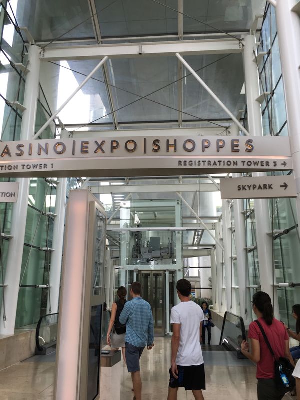 シンガポール・シンガポール「灼熱のシンガポール」の写真