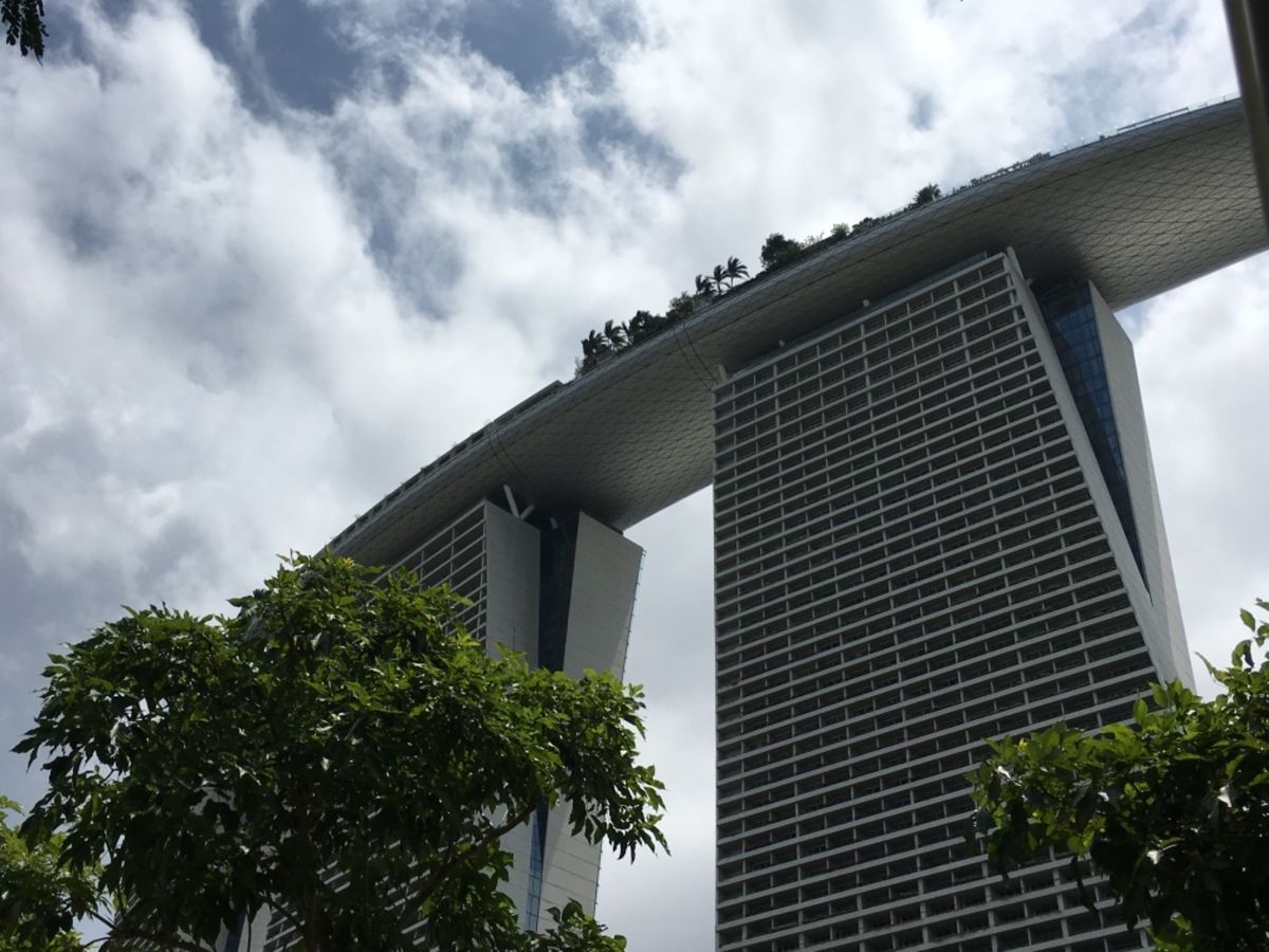 下から見上げるマリーナベイサンズ。こうして見るとかなり特異な形をした建造物...