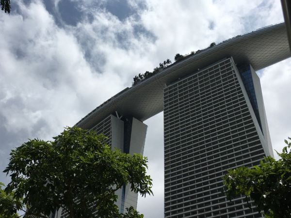 シンガポール・シンガポール「灼熱のシンガポール」の写真：下から見上げるマリーナベイサンズ。こうし...